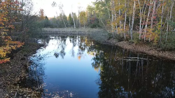 Gladwin, MI 48624,4116 Dutcher Road