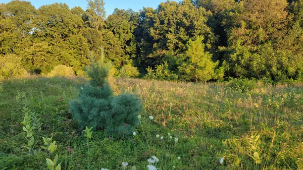 44702 56th Avenue, Paw Paw, MI 49079