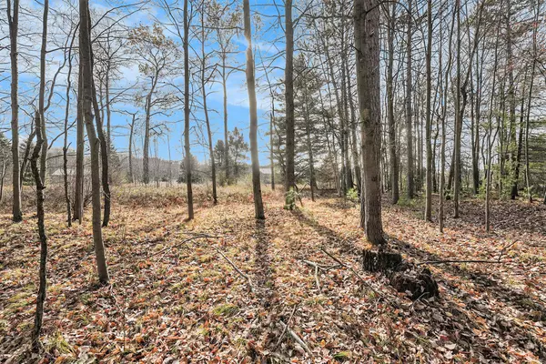 Stanwood, MI 49346,12215 Lila Court