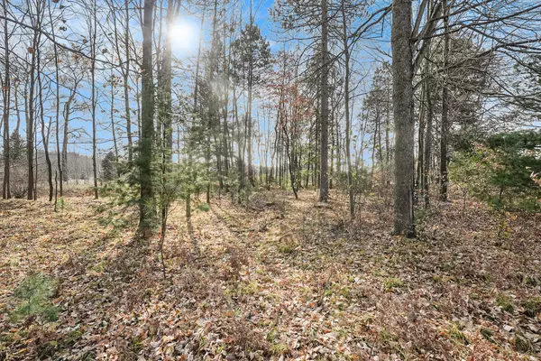 Stanwood, MI 49346,12215 Lila Court