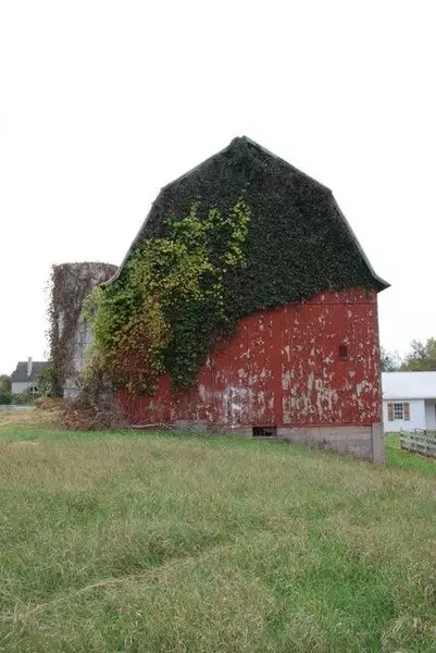 2975 #3 Boynton NE Avenue, Ada, MI 49301