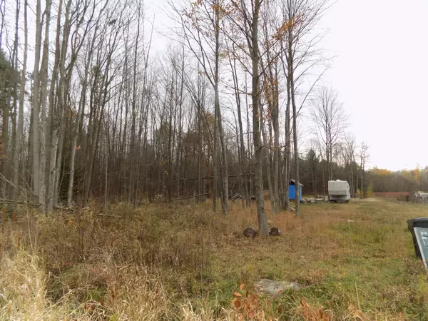 Covert, MI 49043,V/L CR-378