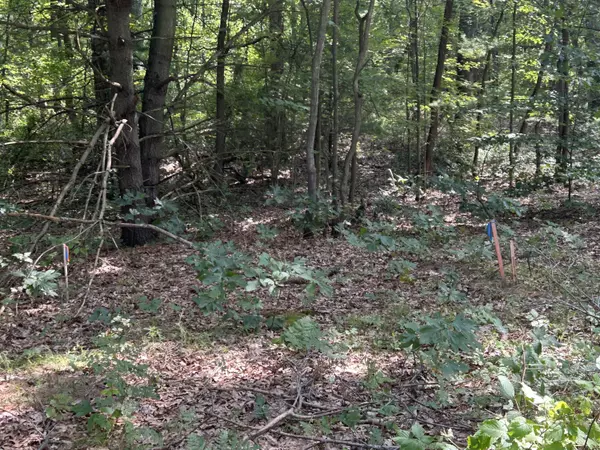 Saugatuck, MI 49453,6440 Gaslight Circle