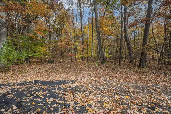 Gobles, MI 49055,36166 Maier Street #V/L