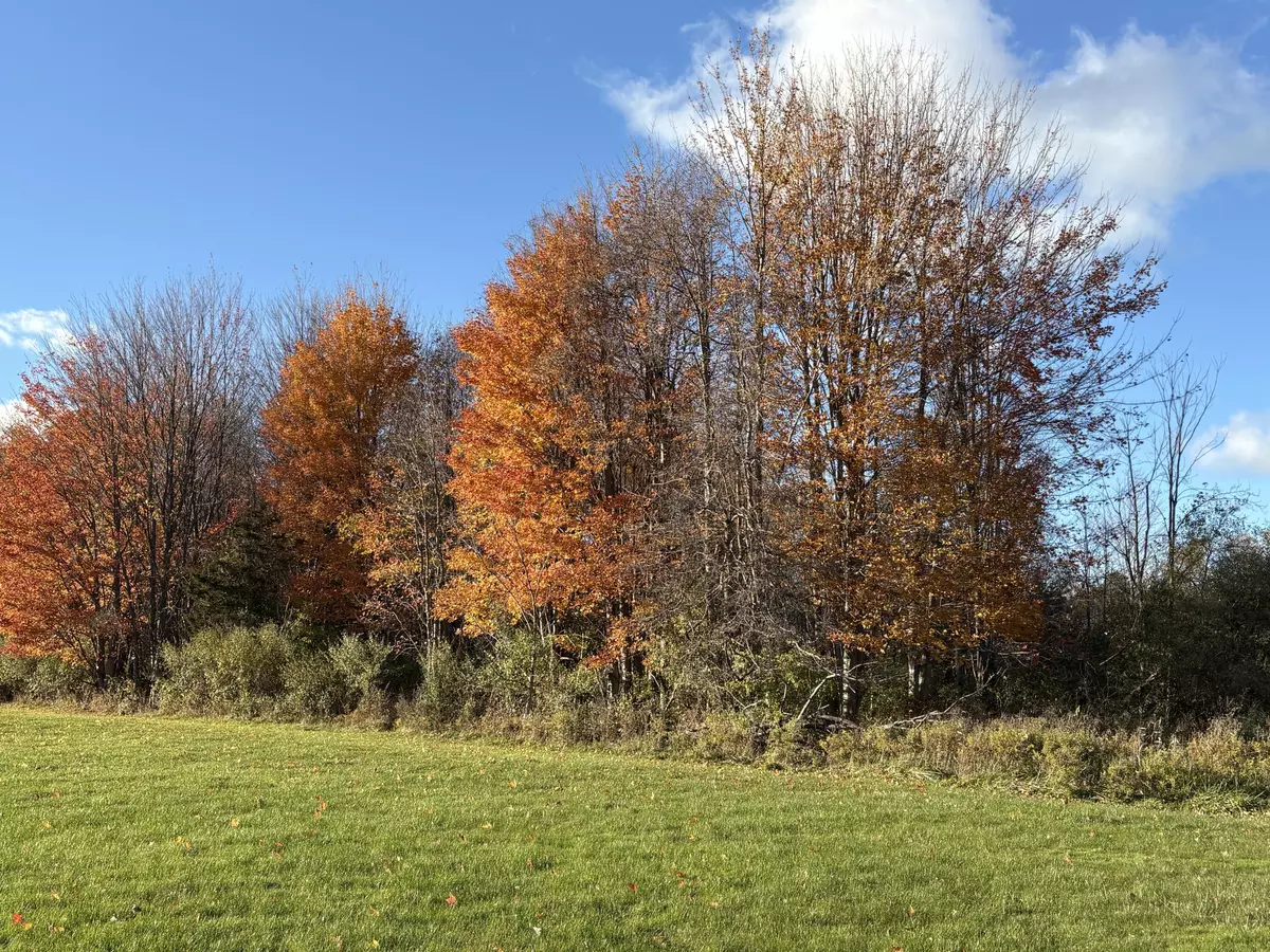 Douglas, MI 49406,2930 S Blue Star Highway