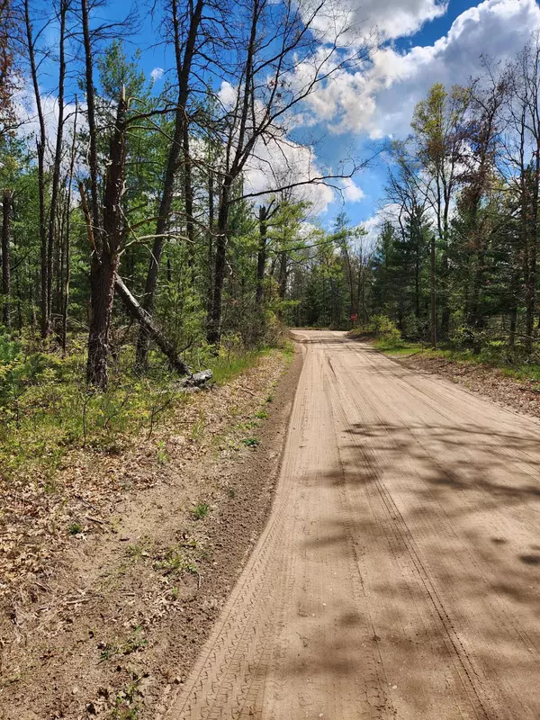 Idlewild, MI 49642,8950 S Chatman Street