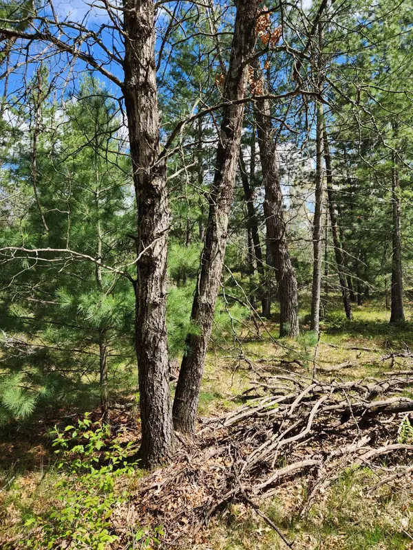 Idlewild, MI 49642,8950 S Chatman Street