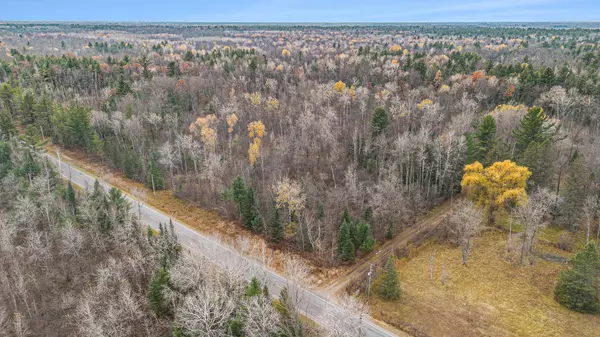 Alger, MI 48610,VL Wildwood Road