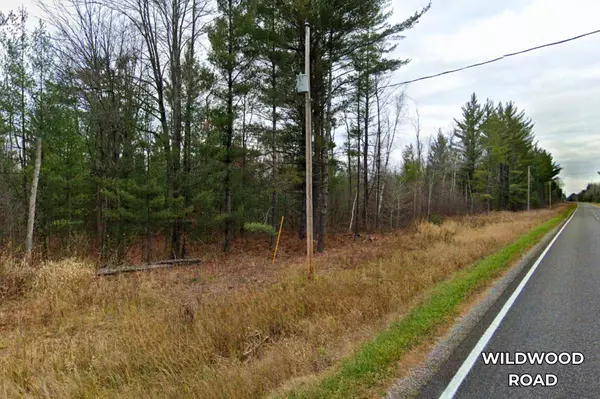 Alger, MI 48610,VL Wildwood Road