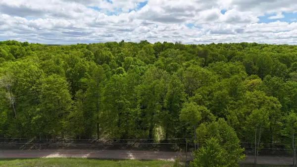 Copemish, MI 49625,McClish aka Bigge