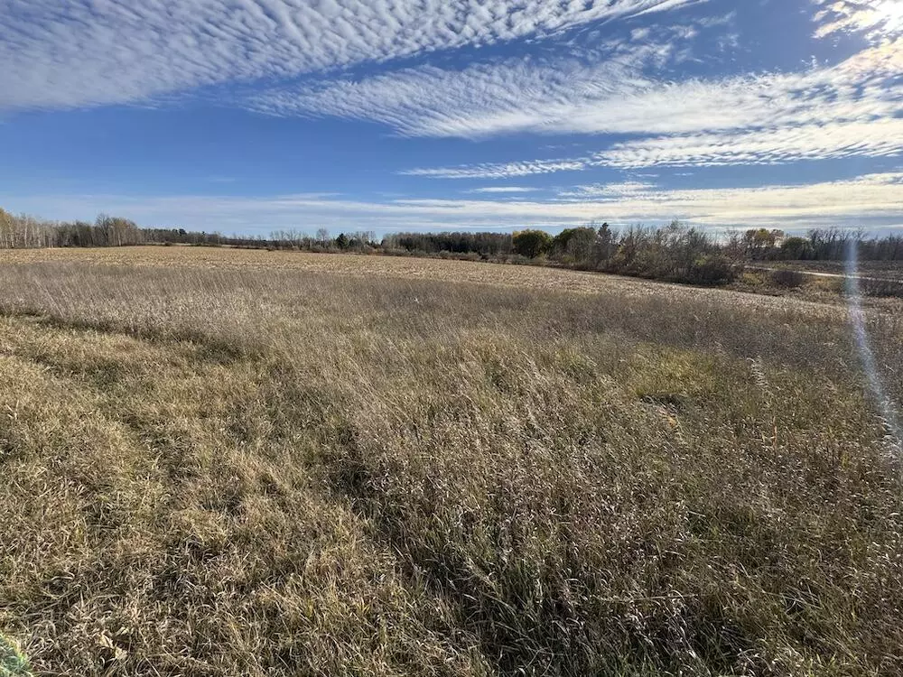 West Branch, MI 48661,S Morrison Road