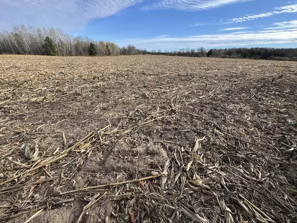 West Branch, MI 48661,S Morrison Road