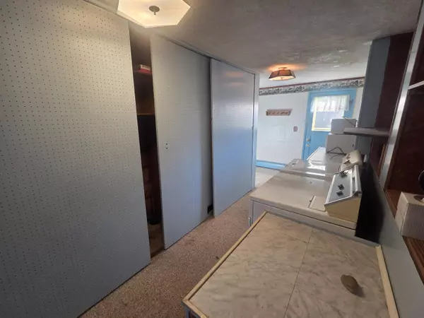 Blanchard, MI 49310,245 Millbrook Rd Road