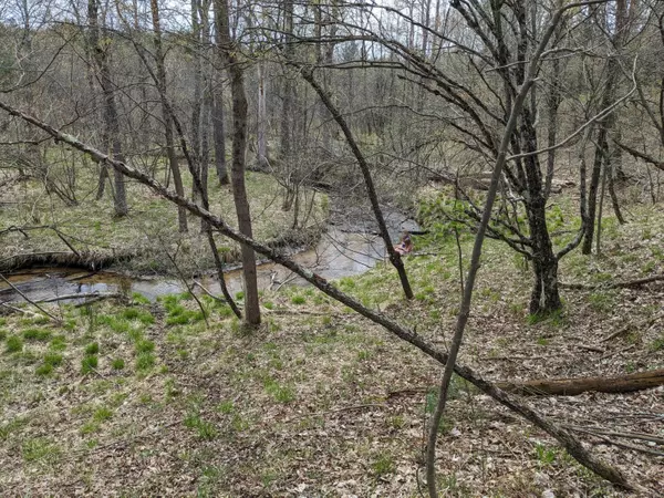 Luther, MI 49656,1103 N Frank Smith Road