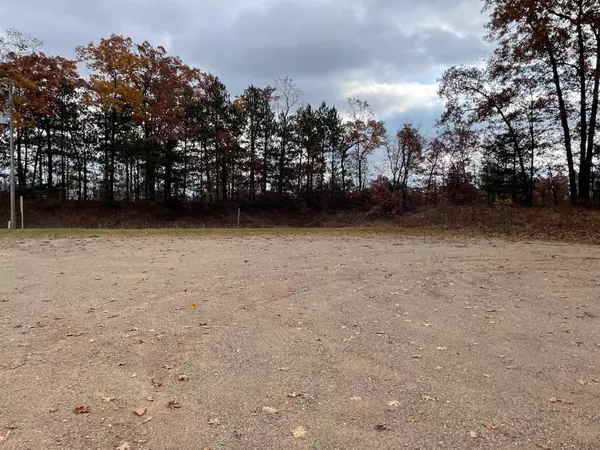 Wellston, MI 49689,16486 Steinberg Road