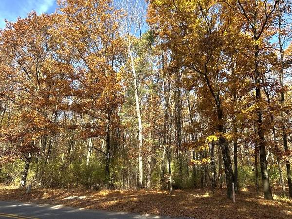 VL Burroughs NE Street, Lowell, MI 49331