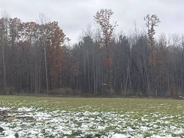 Lakeview, MI 48850,11477 N Johnson Road