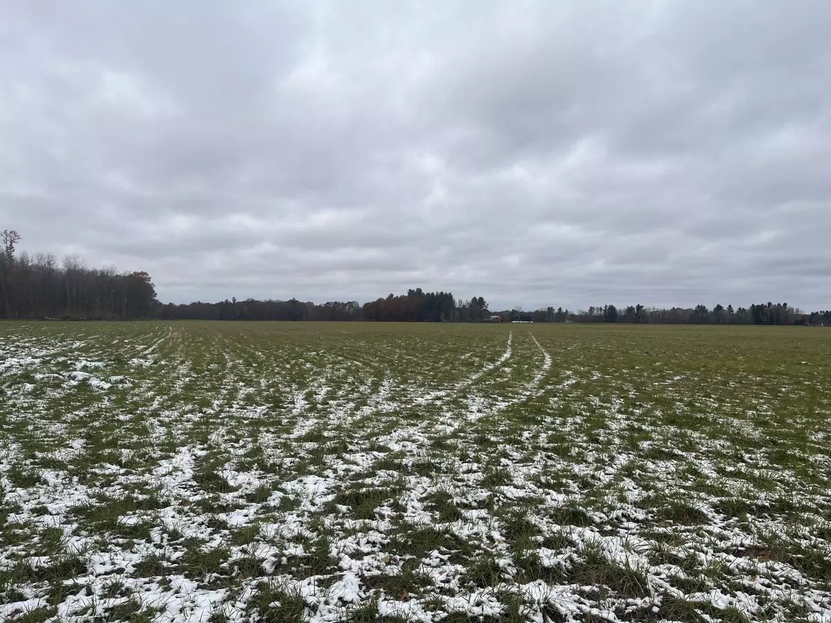 Lakeview, MI 48850,11477 N Johnson Road