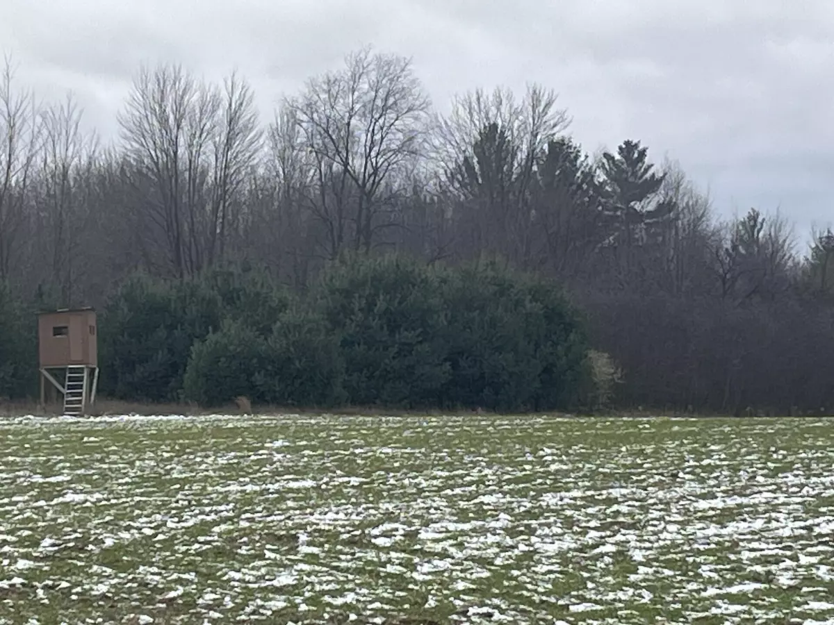 Lakeview, MI 48850,Par A Nimberger Road