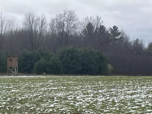 Par A Nimberger Road, Lakeview, MI 48850