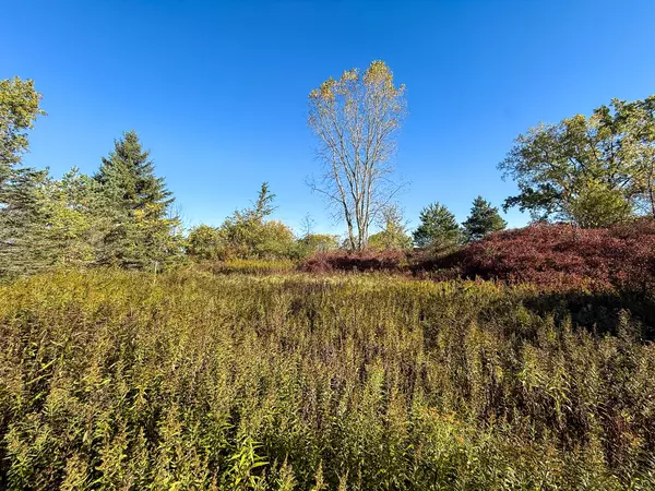 Sand Lake, MI 49343,7710 21 Mile NE Road