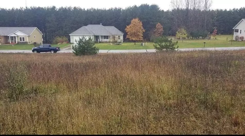 Long Wood Drive, Traverse City, MI 49685