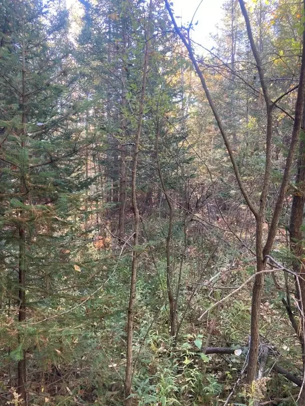 Afton, MI 49705,9165 Afton Road