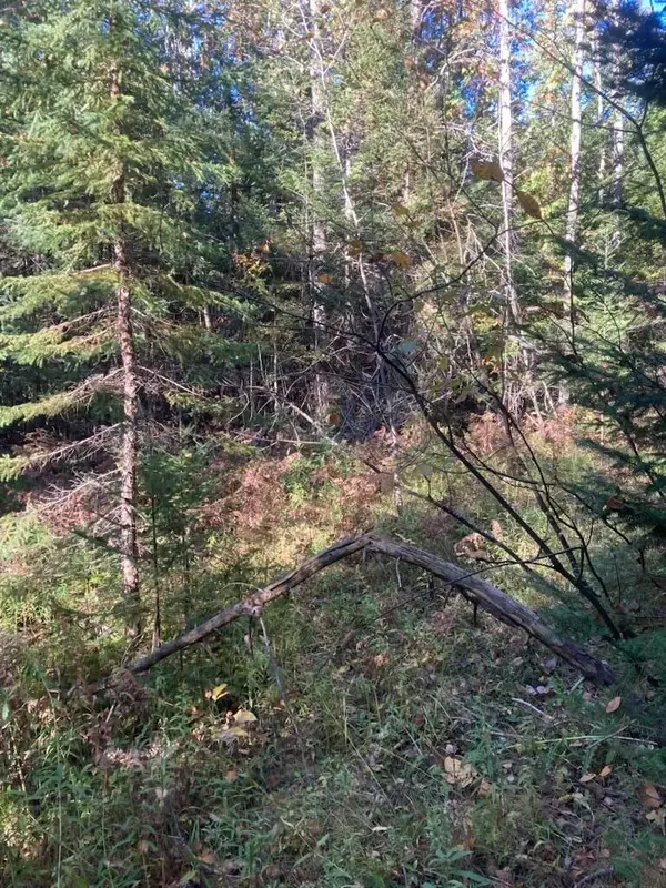 Afton, MI 49705,9165 Afton Road