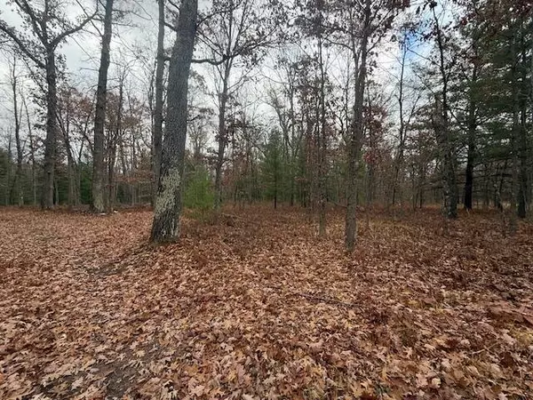 Bitely, MI 49309,Parcel 2 Cleveland Drive