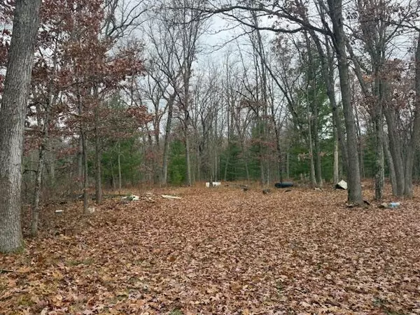 Bitely, MI 49309,Parcel 2 Cleveland Drive