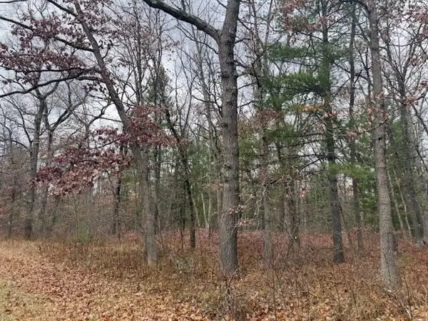 Bitely, MI 49309,Parcel 2 Cleveland Drive