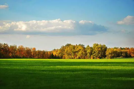 3220 N Hideaway SE Drive, Caledonia, MI 49316