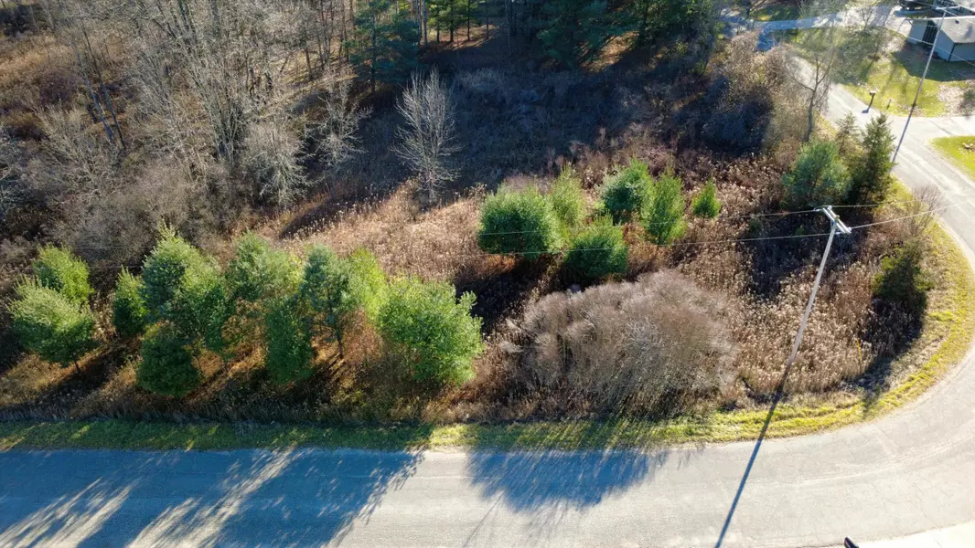 Edgewood Drive, Big Rapids, MI 49307