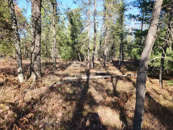 Baldwin, MI 49304,VL W Trail 6545 (HB Road)