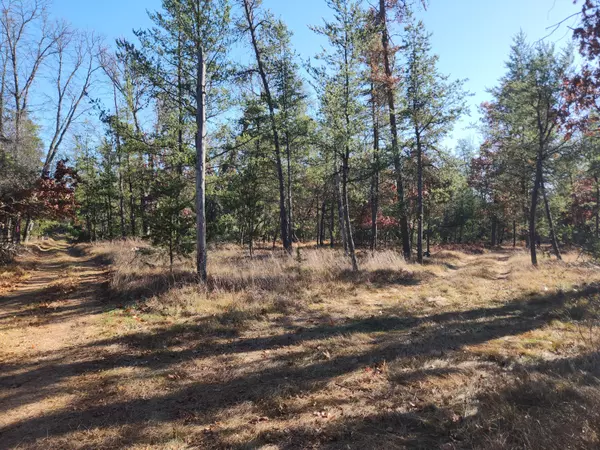 Baldwin, MI 49304,VL W Trail 6545 (HB Road)