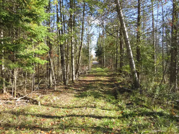 Levering, MI 49755,VL McClouth Road