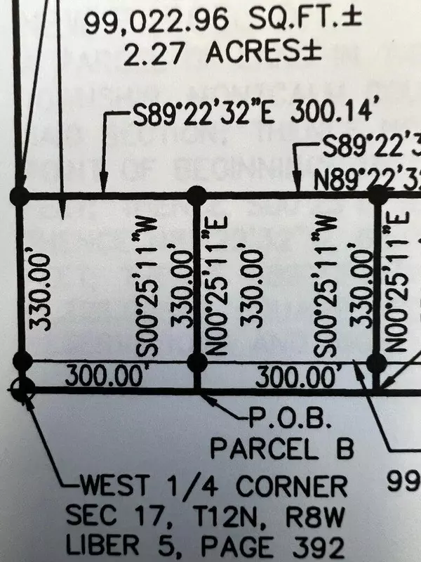 Lakeview, MI 48850,10916 W Howard City-Edmore