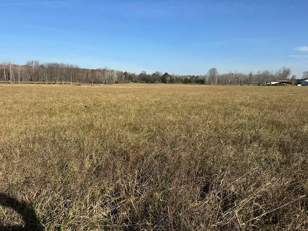 Lakeview, MI 48850,10916 W Howard City-Edmore