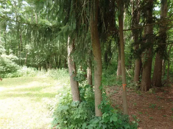 Fennville, MI 49408,VL Blue Star Highway