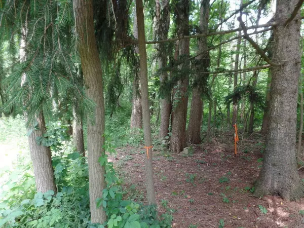 Fennville, MI 49408,VL Blue Star Highway