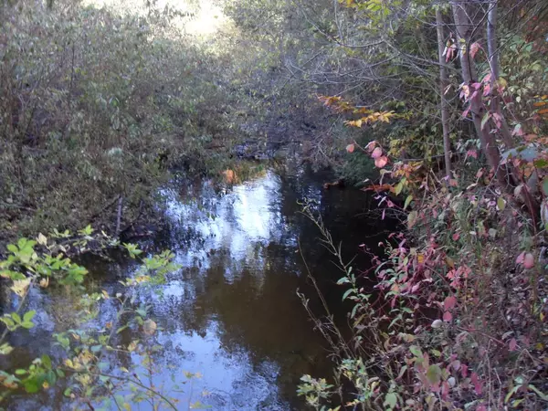 Hesperia, MI 49421,4107 E White River Drive