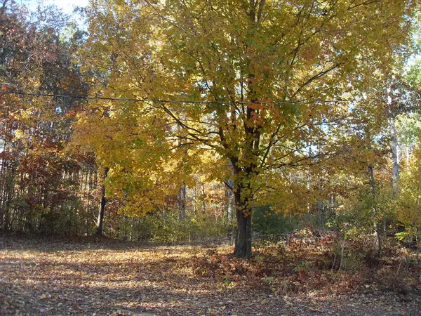 Hesperia, MI 49421,4107 E White River Drive