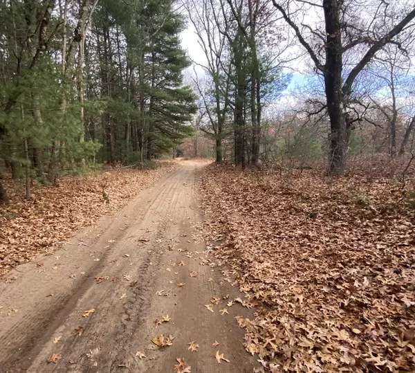 Newaygo, MI 49337,2712 E 88th Street