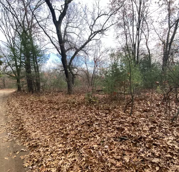 Newaygo, MI 49337,2712 E 88th Street