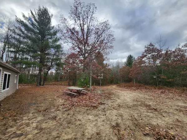 Bitely, MI 49309,10544 N Lazy Lane