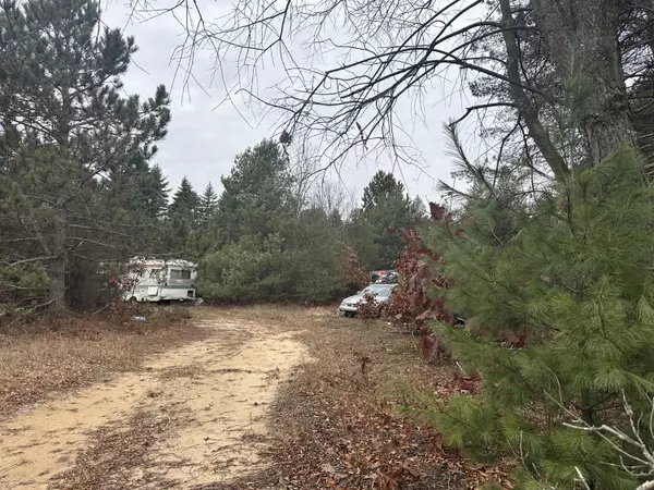 Bitely, MI 49309,8119 N Sweet Chevy Lane