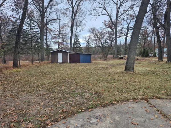 Bitely, MI 49309,10861 Prospect Avenue