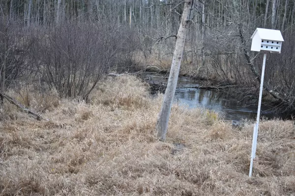 Luther, MI 49656,646 W 3 Mile Road