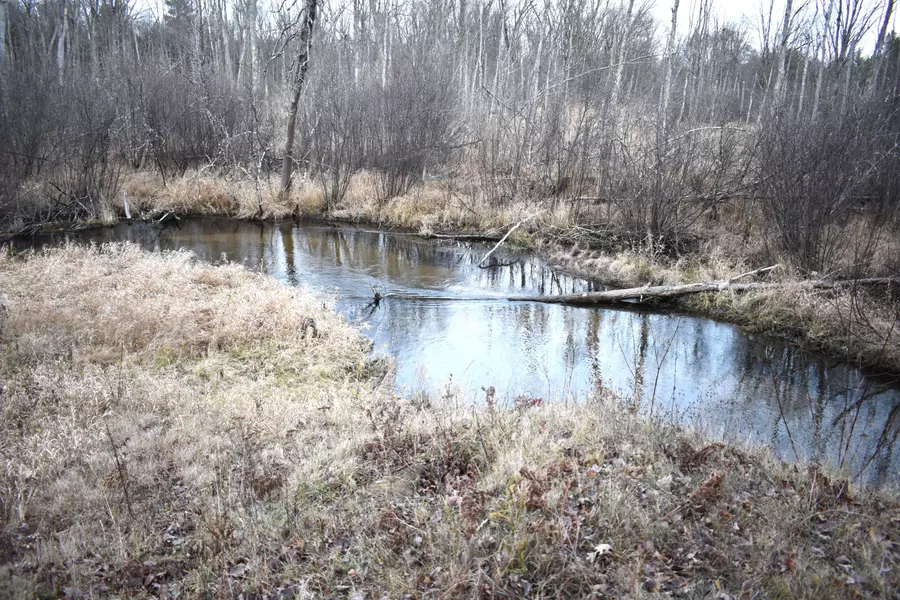 646 W 3 Mile Road, Luther, MI 49656