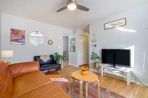 Ypsilanti, MI 48198,764 Dorset Avenue